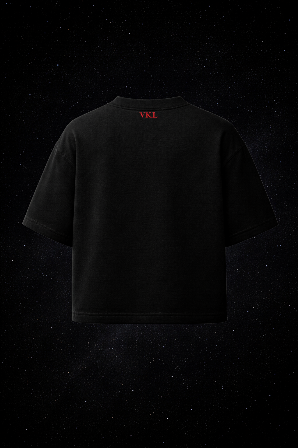 Heavyweight T-shirt (Black)